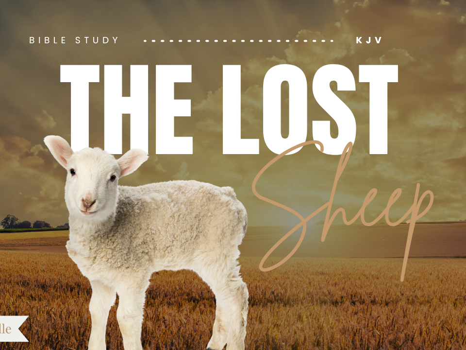 Bible Verses about 99 Sheep