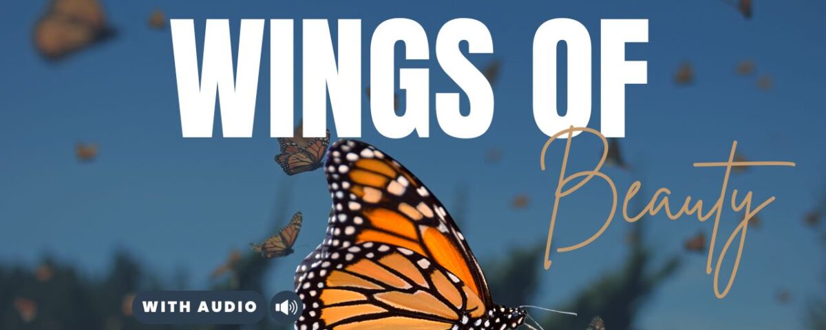 Bible Verses With Butterflies