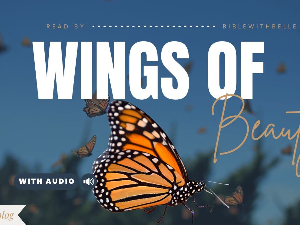 Bible Verses With Butterflies