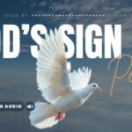 Bible Verses With Doves