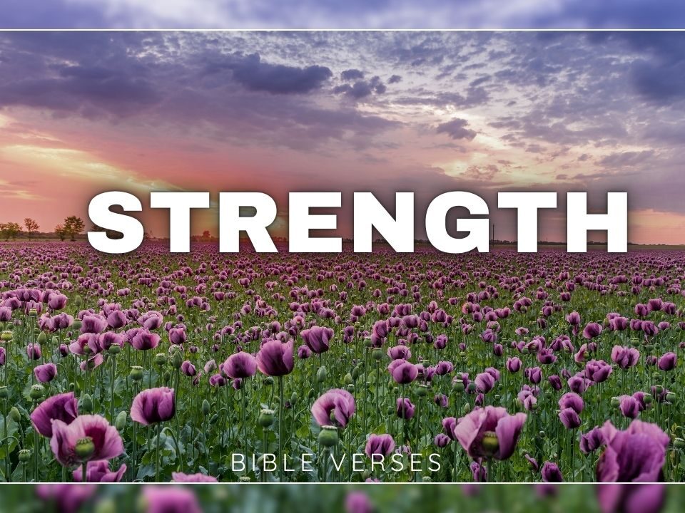 Esther Bible Verses About Strength
