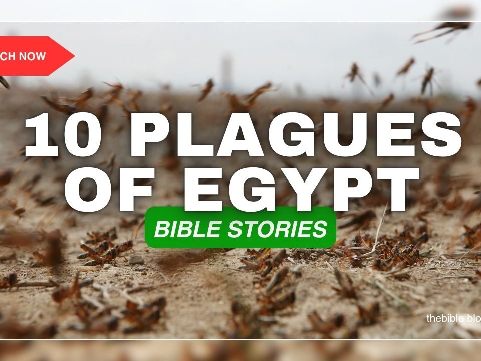 The Ten Plagues of Egypt Bible Story