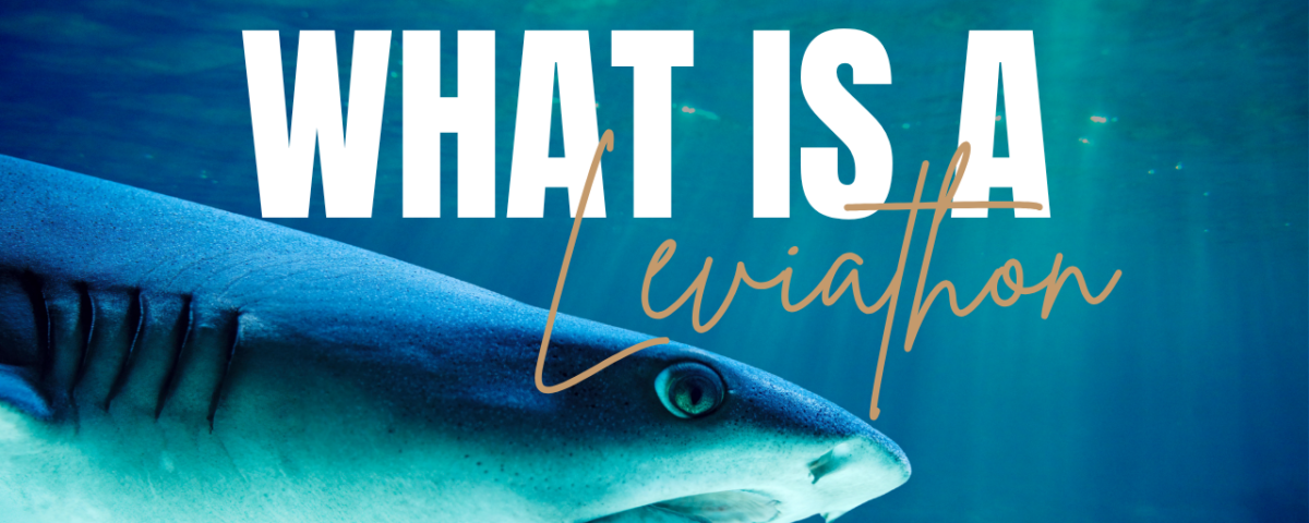 What Does the Bible Say About Leviathan