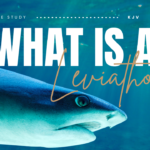 What Does the Bible Say About Leviathan