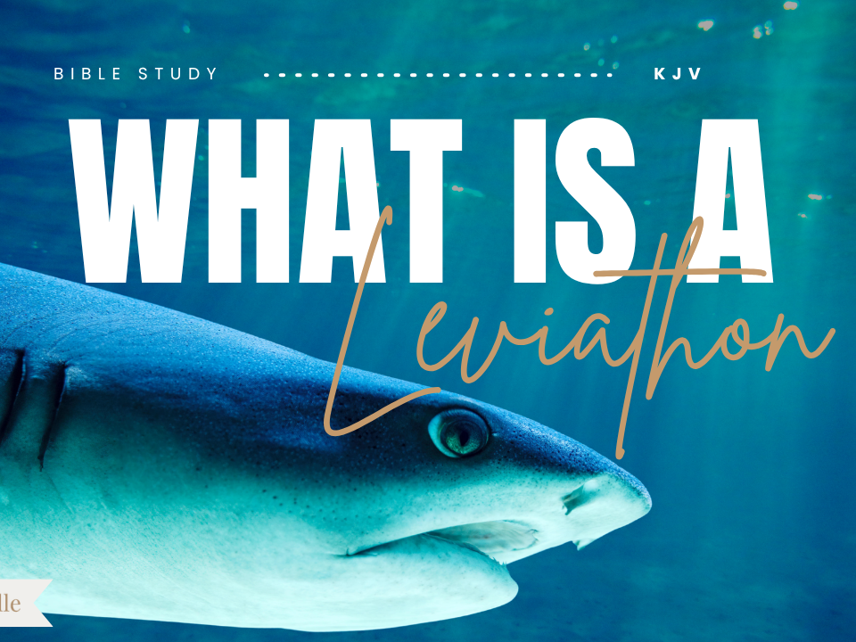 What Does the Bible Say About Leviathan