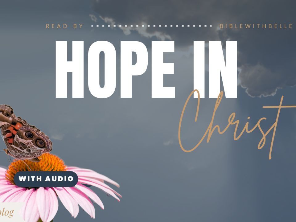 Bible Verses With Hope In Them