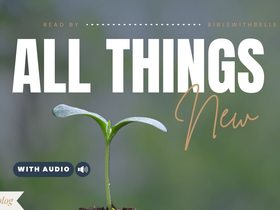 Bible Verses With New