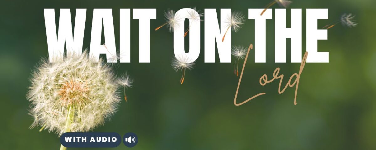 Bible Verses With Patience