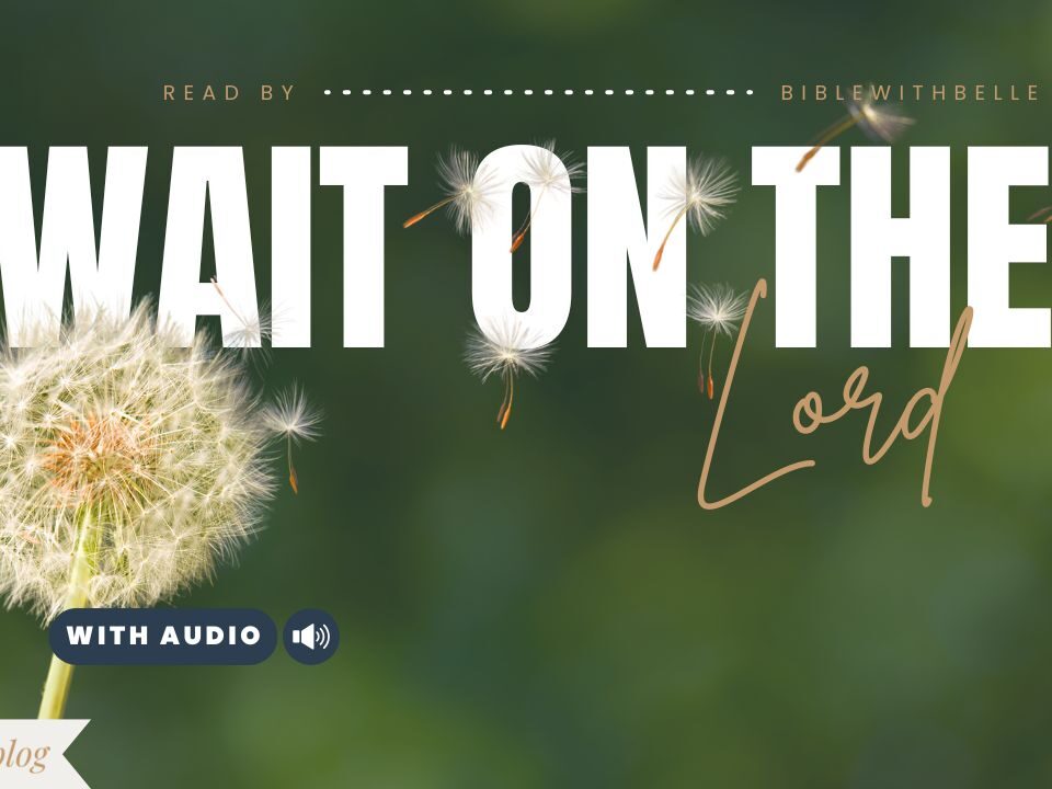 Bible Verses With Patience