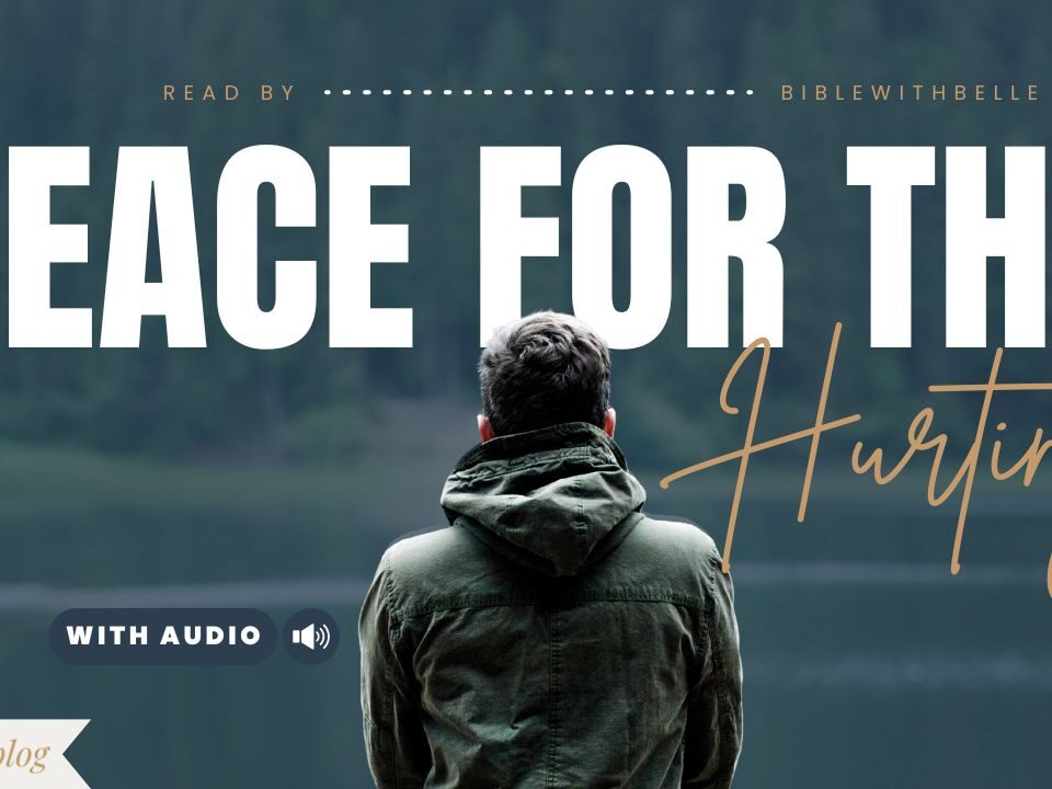 Bible Verses With Comfort