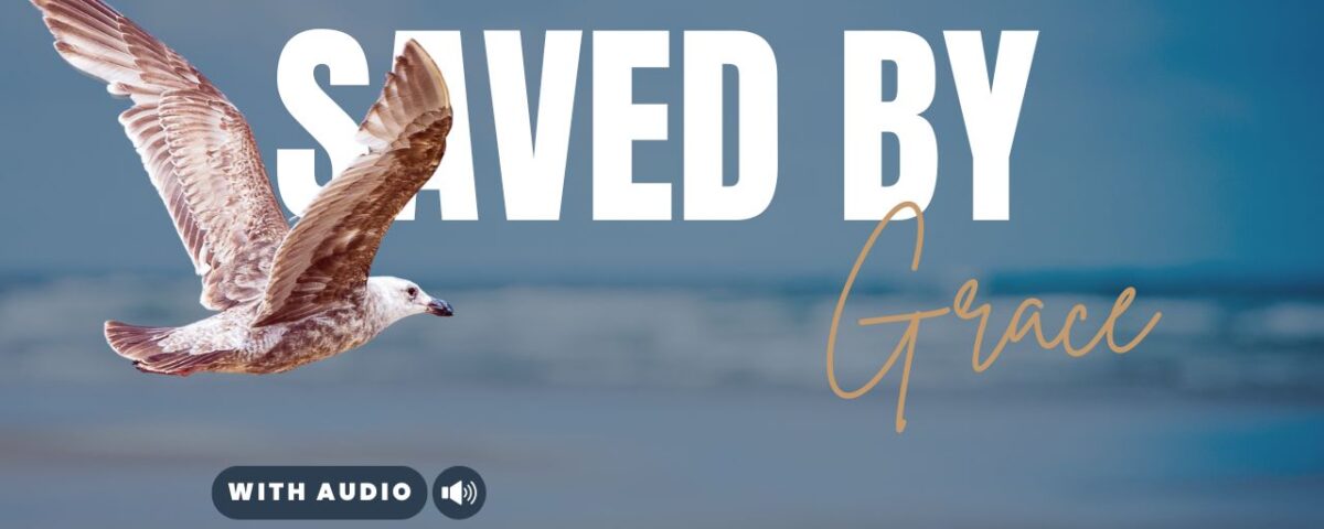 Bible Verses With Grace