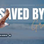 Bible Verses With Grace