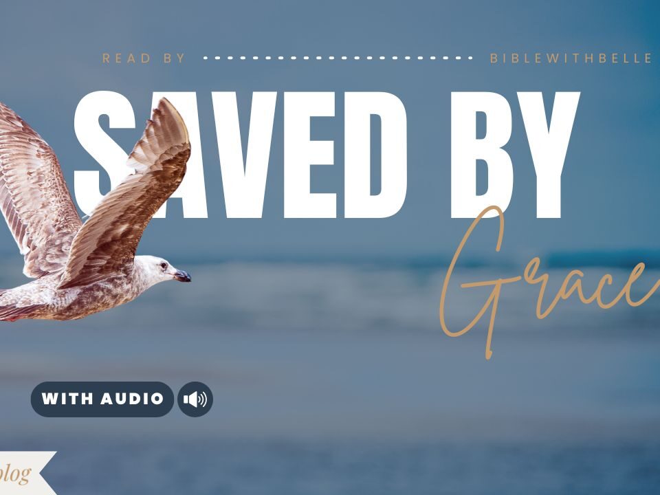 Bible Verses With Grace