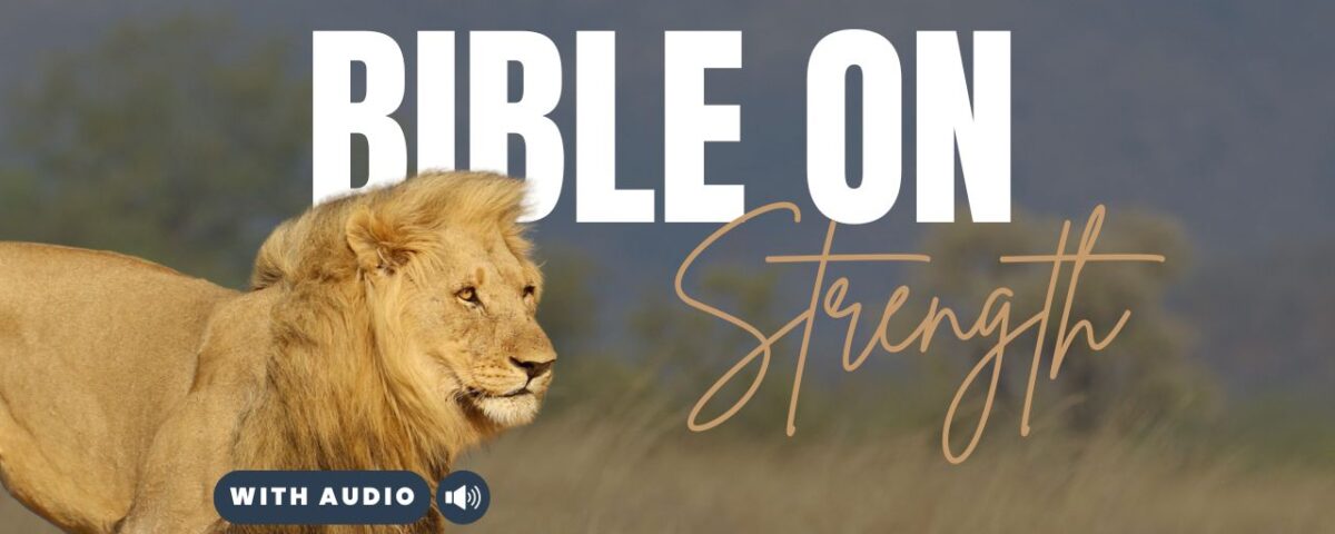 Bible Verses With Strength