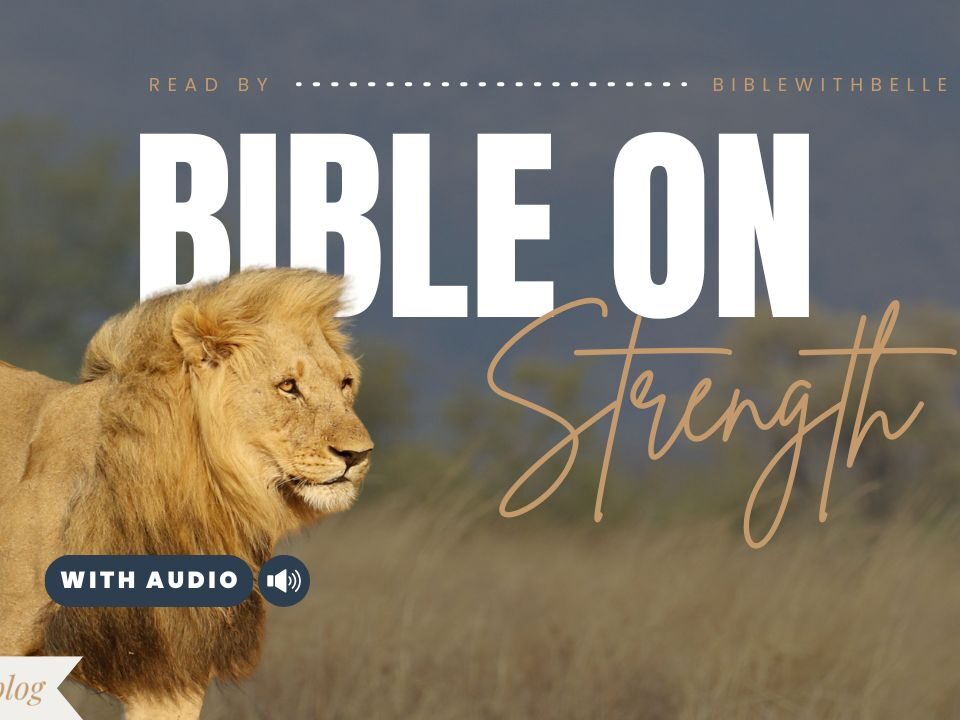 Bible Verses With Strength