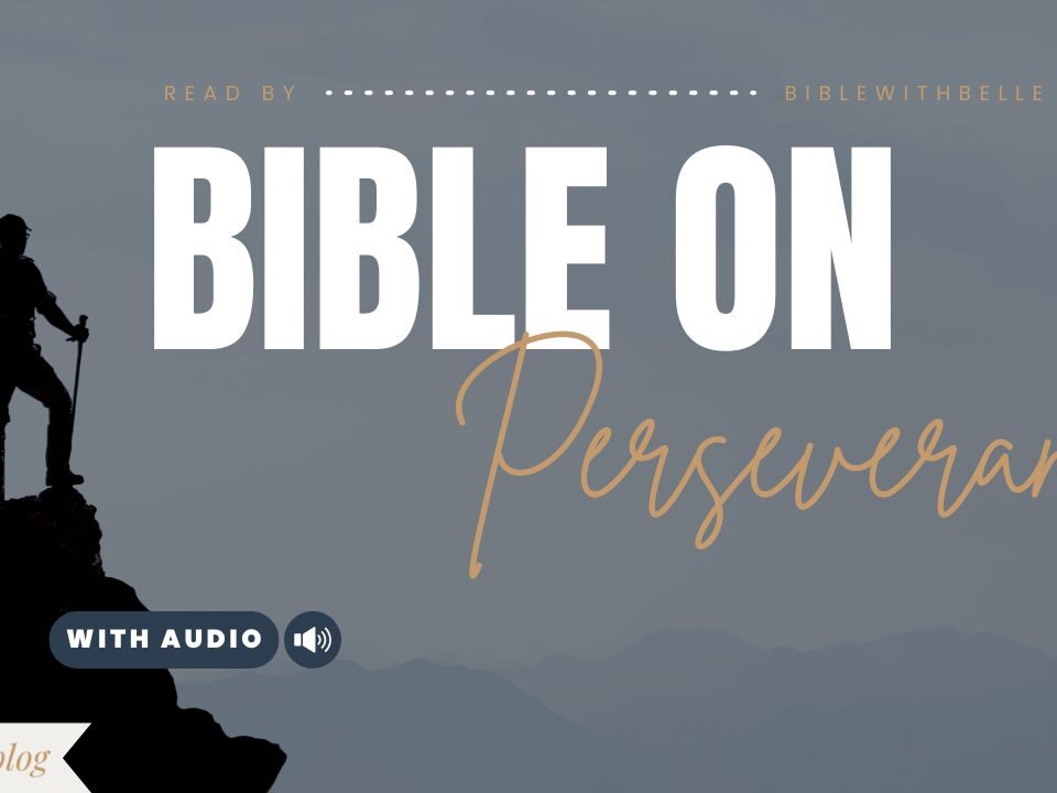 Bible Verses With Perseverance