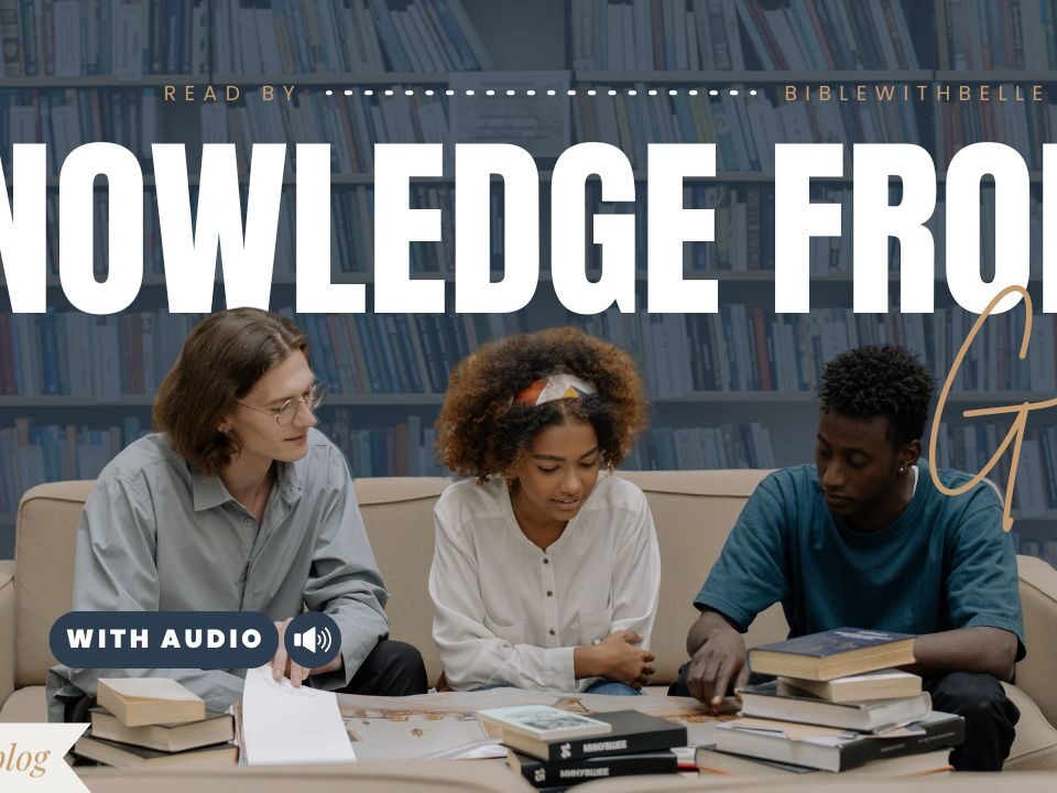 Bible Verses About Knowledge and Wisdom