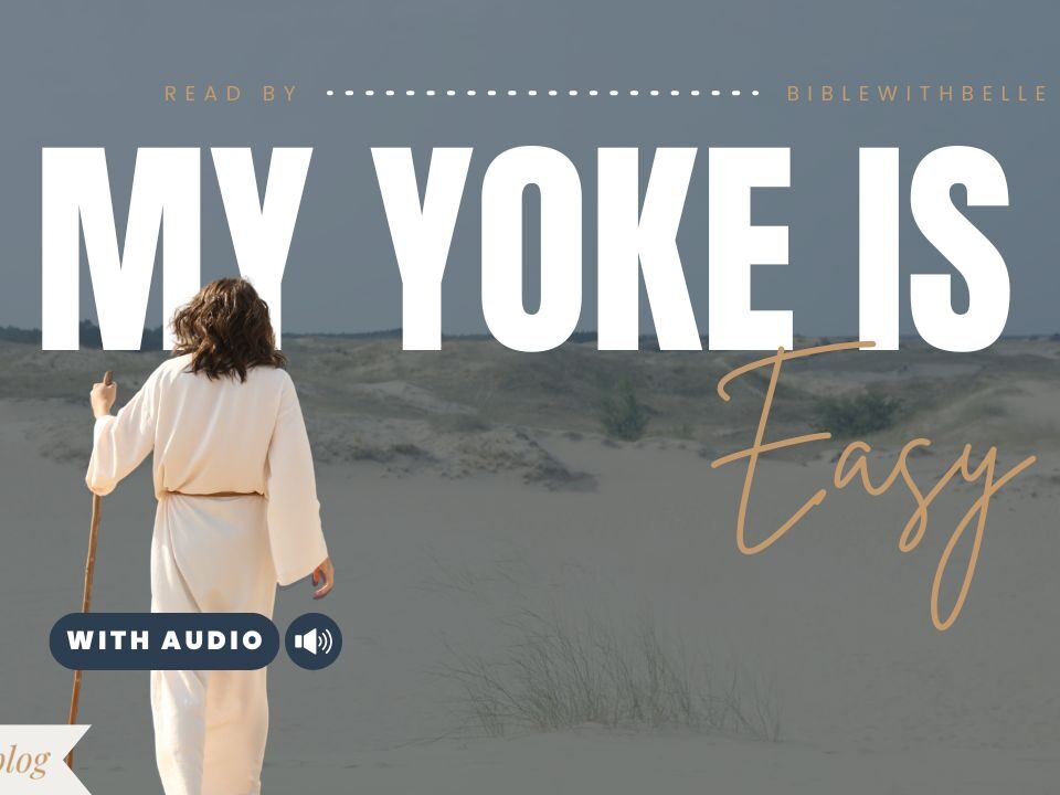 Bible Verses With Yoke