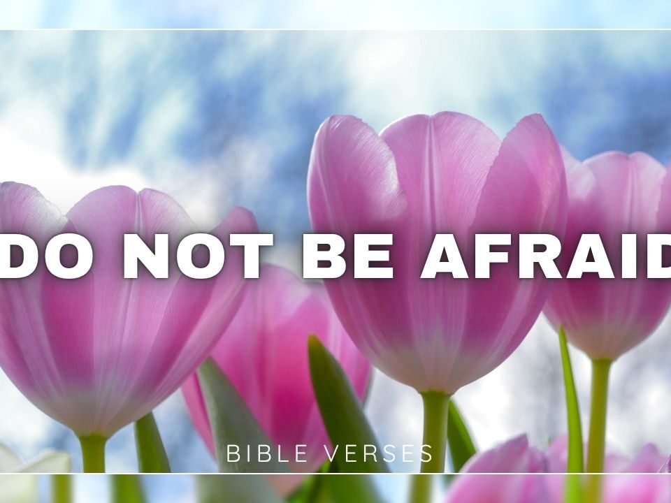 Bible Verses With Do Not Be Afraid