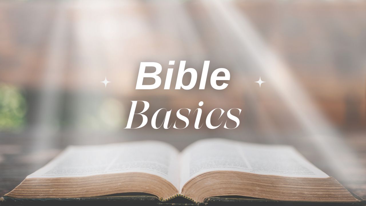 Bible Basics | Simple Guide to Understanding God’s Word