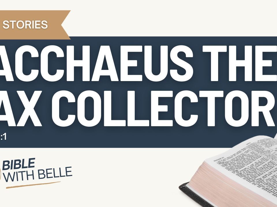 Zacchaeus the Tax Collector (Luke 19:1–10)
