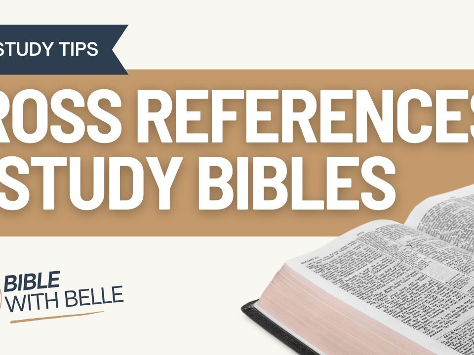 Using Cross-References, Study Bibles, and Concordances