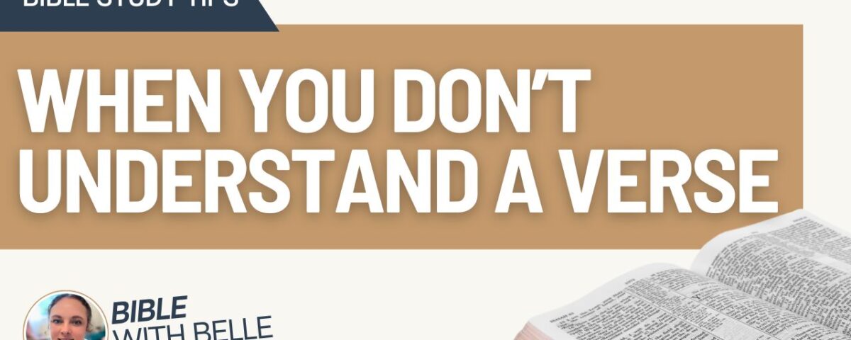 What to Do When You Don’t Understand a Passage