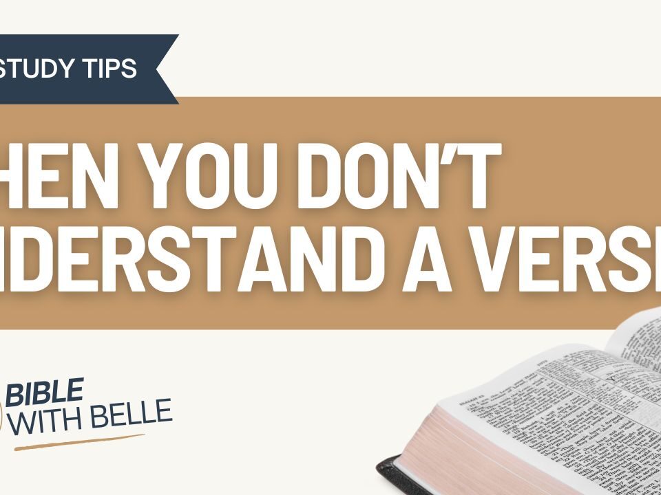 What to Do When You Don’t Understand a Passage