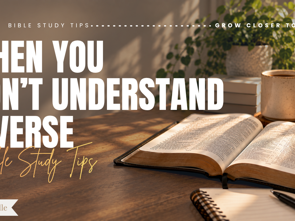 What to Do When You Don’t Understand a Passage