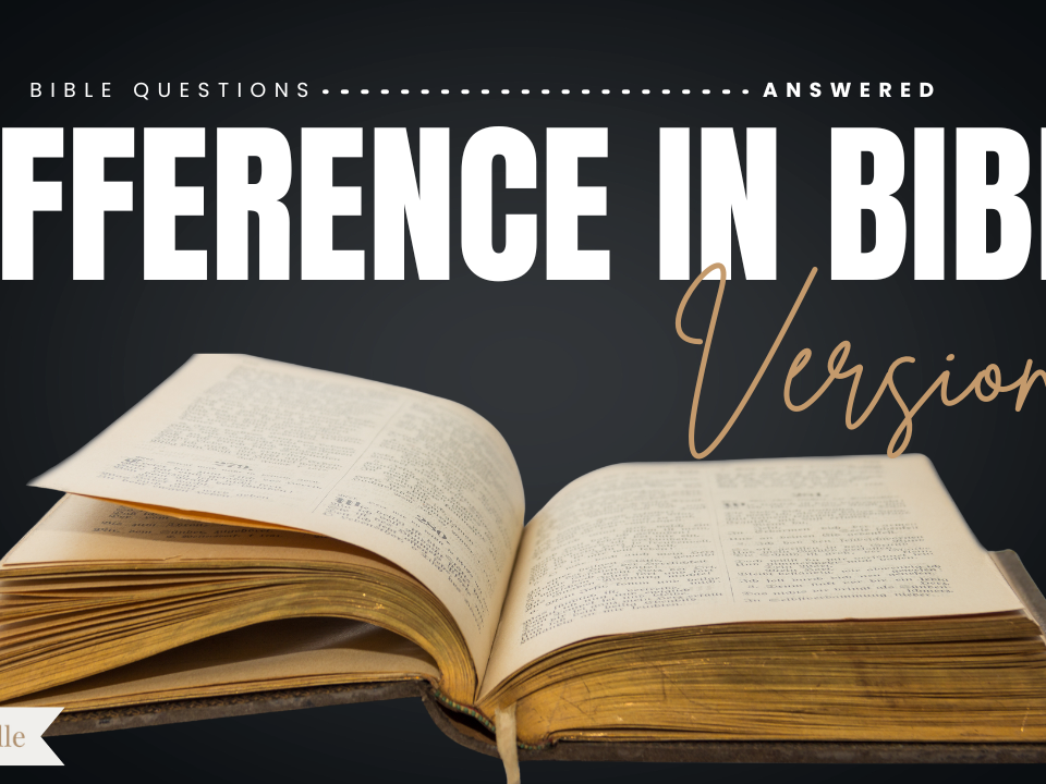 Why Are There So Many Bible Translations