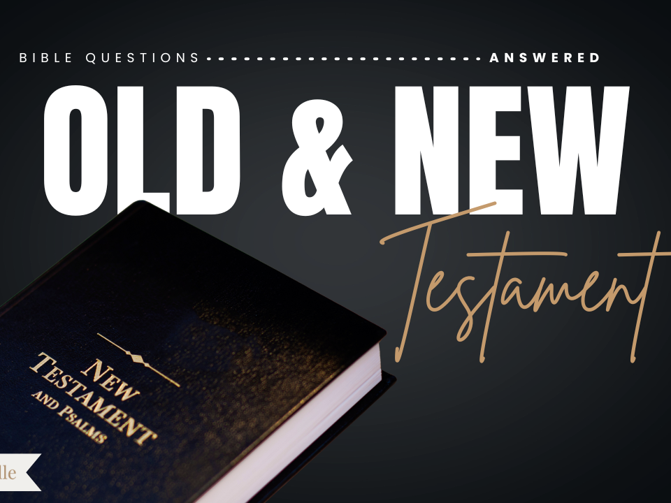 Whats the Difference Between the Old and New Testament