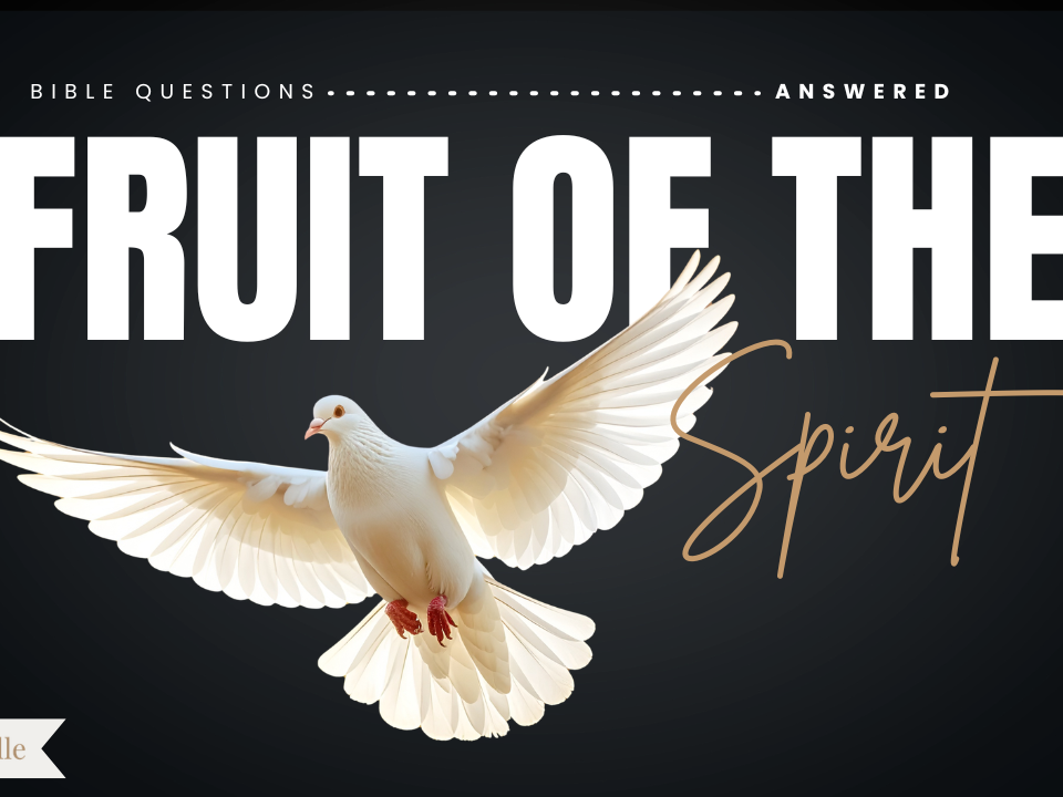 What Are the Gifts and Fruit of the Spirit