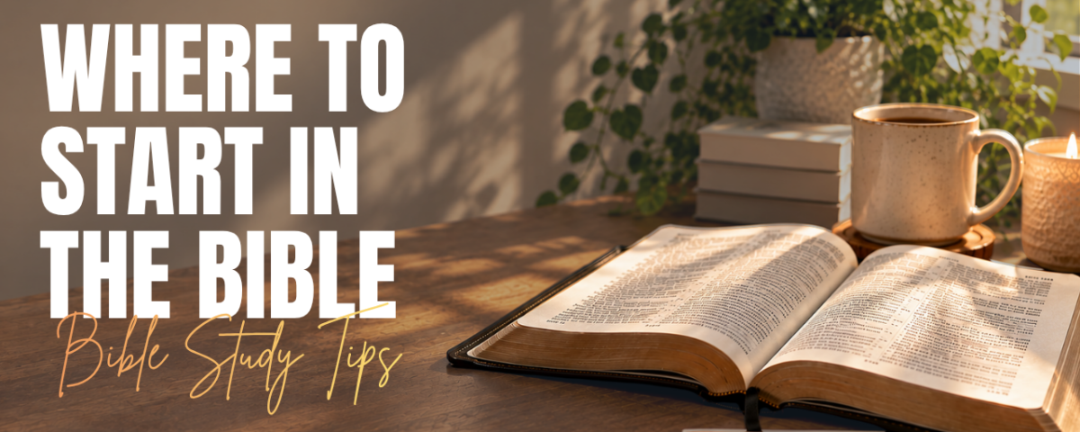 Where to Start in the Bible
