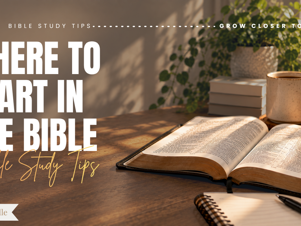 Where to Start in the Bible