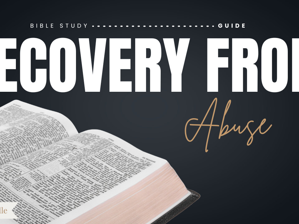 Gods Word on Abuse and Recovery Bible Study Guide